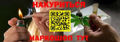 СК Кингисепп