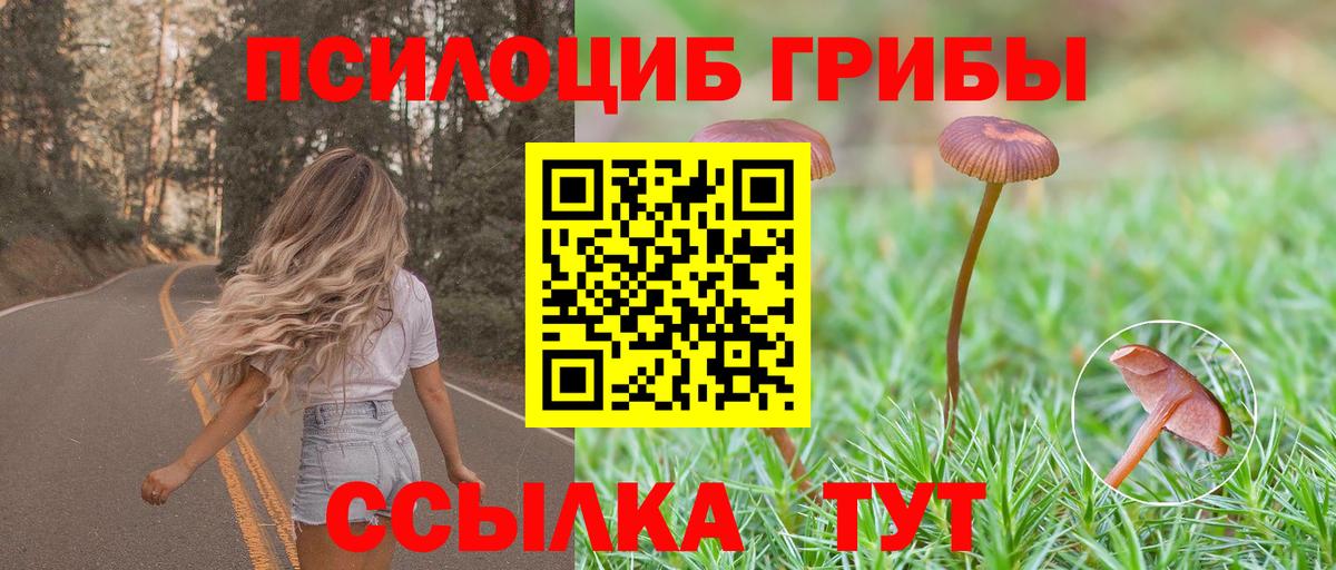 Лсд 25 Видное