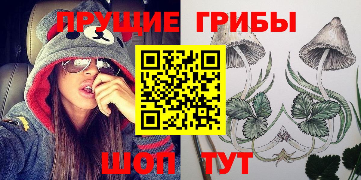 Галлюциногенные грибы Psilocybe Видное