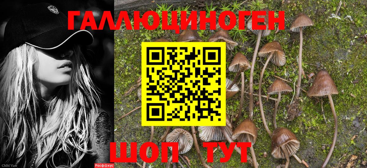Псилоцибиновые грибы Psilocybe  Вход с VPN  Галлюциногенные грибы Magic Shrooms  Видное 